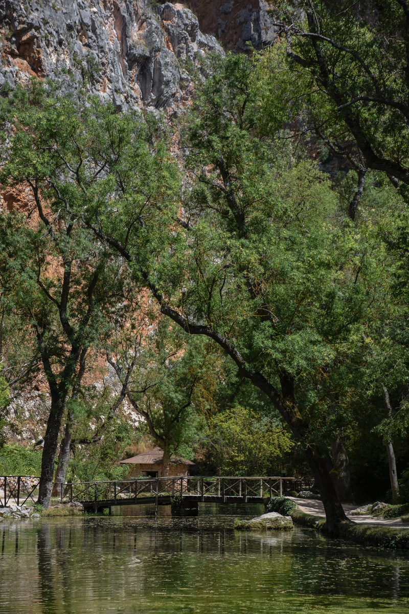árboles, 2K, beauty in nature, tranquil scene, outdoors, lago, tree, monasterio de piedra, nature, montañas, growth, architecture, day, built structure