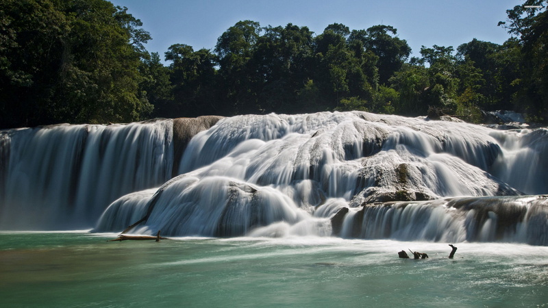 blue water, waterfall, trees, falling, flowing, awe, day, tree, tropical Rainforest, freshness, waterfront, landscape, sea, green Color, purity, tropical Climate