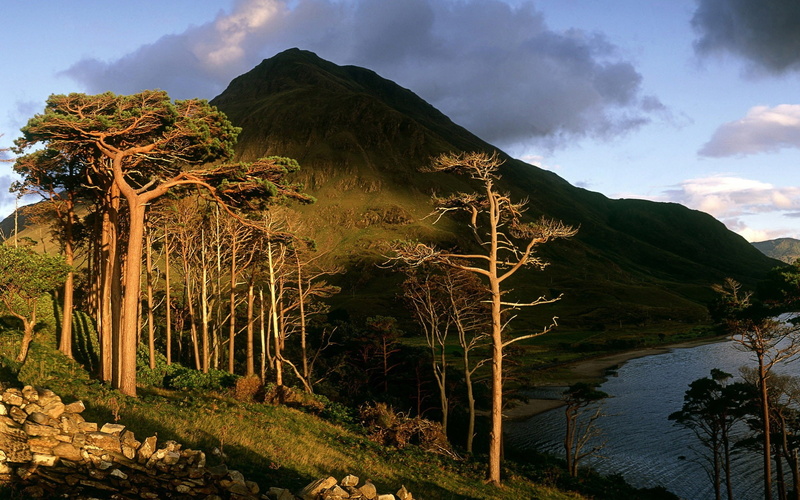 plant, trees, idyllic, growth, no people, mayo, cloud - sky, beauty in nature, hd, sky, mountain, windows, tree, tranquil scene, tranquility, water, leafed