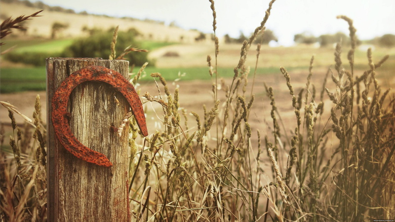 growth, grass, old, close-up, landscape, agriculture, vieja, nature, focus on foreground, outdoors, abandoned, land, field, metal, rusty, rural scene, 4K