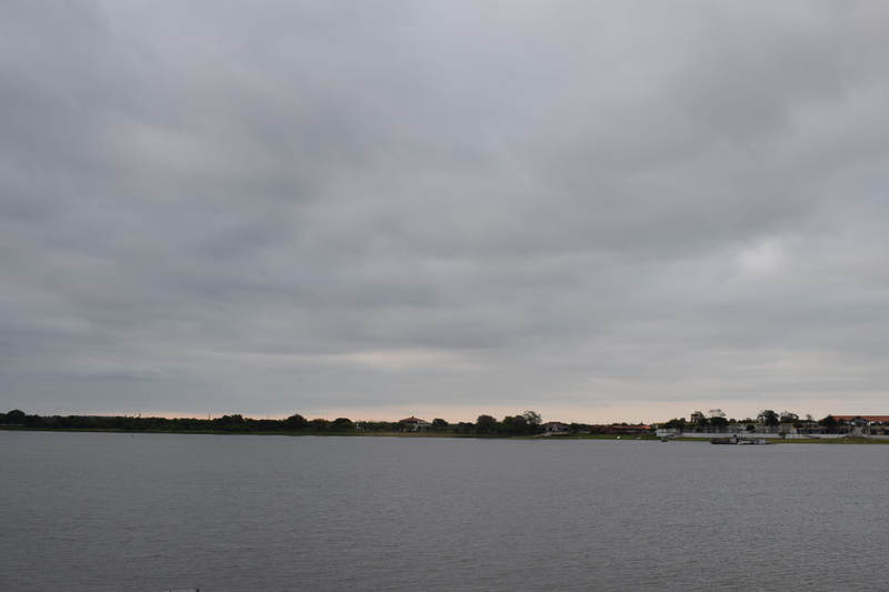 waterfront, sea, day, no people, tree, solitary, avenida costanera josé asunción flores, idyllic, soledad, tranquil scene, beauty in nature, scenics - nature