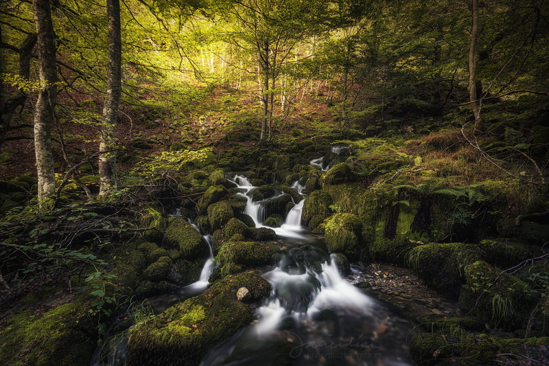 arroyo, Sigma, outdoors, waterfall, nature, Recordando, scenics, Sony, stream, A77, green, water, green Color, river, forest, de, photography, trees, leaf