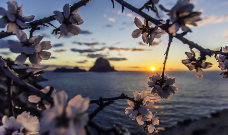 sea, ibiza, sun, 1080P, es vedra, dawn, Sunset, almond, island