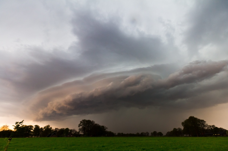 tree, dark clouds, cumulonimbus, scenics - nature, drama, thunderstorm, plant, power in nature, threatening, landscape, field, storm cloud, gust front