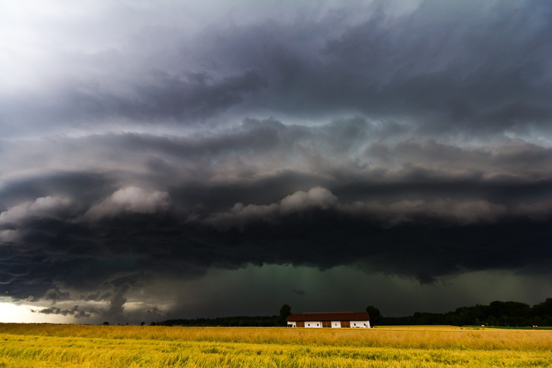 no people, a thunderstorm cell, field, cloud - sky, shelf cloud, rain, squall line, storm, storm hunting, tree, super cell, storm front, environment, thundercloud