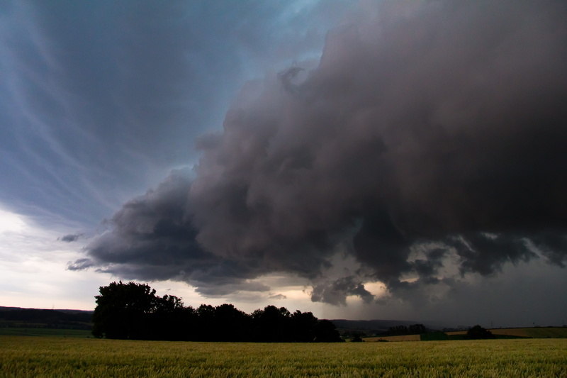 meteorology, extreme weather, plant, shelf cloud, power, squall line, landscape, thunderstorm, drama, super cell, power in nature, cloud front, outdoors