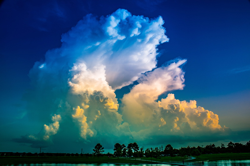 plant, tower, outdoors, tree, thunderhead, golden hour, background, blue sky, storm, power in nature, non-urban scene, cumulus cloud, evening light, thundercloud