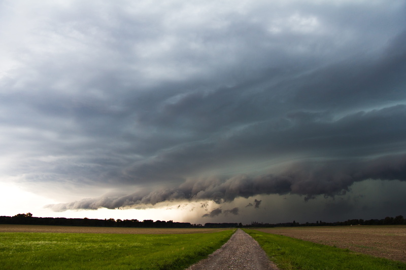 rain, ominous, no people, storm cloud, landscape, 5K, cumulonimbus, power in nature, extreme weather, beauty in nature, thundercloud, plant, land, atmosphere
