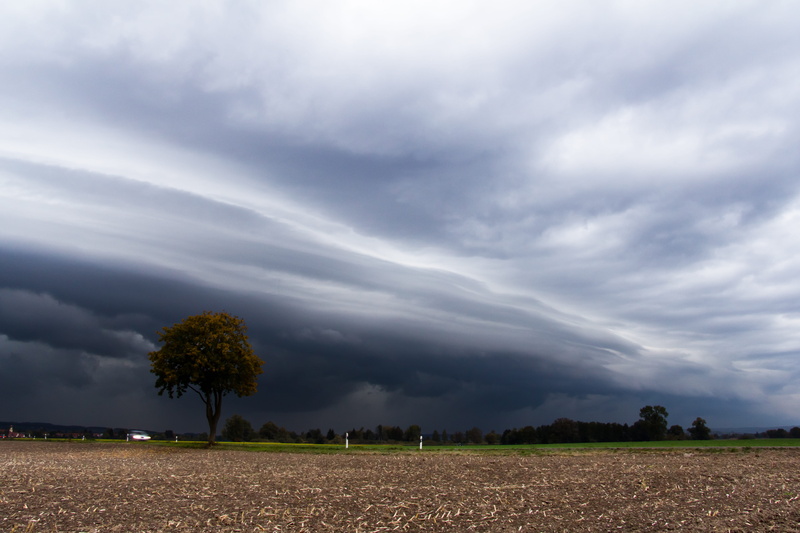 4K, non-urban scene, environment, landscape, nature, arcus, growth, no people, beauty in nature, meteorology, scenics - nature, shelf cloud, tranquil scene