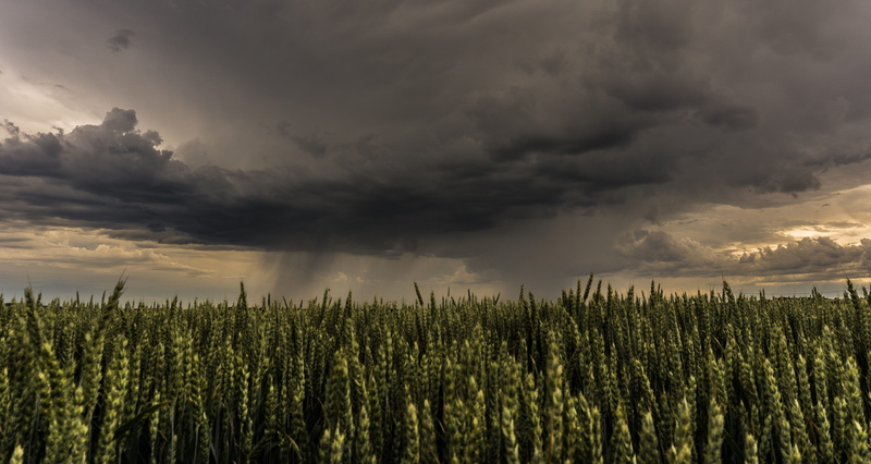 mood, storm, no people, tranquility, plant, beautiful, evening, beauty in nature, ominous, environment, atmosphere, dramatic, storm clouds, scenics - nature