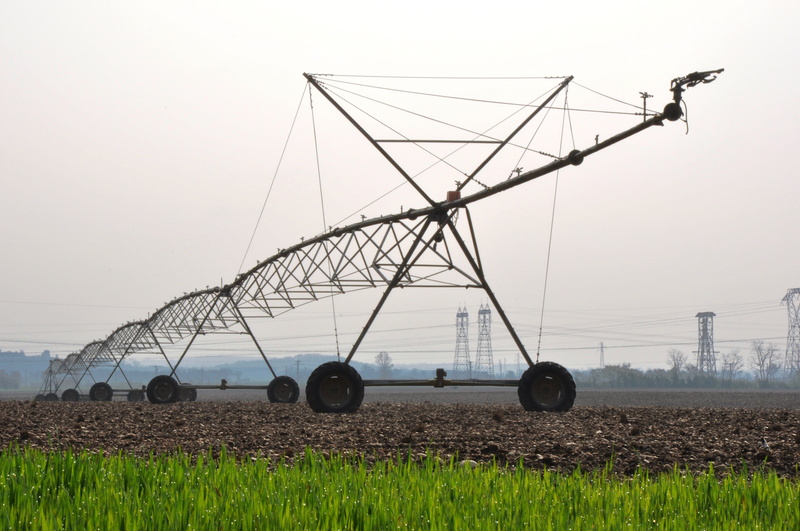 water, environment, watering, crop, focus, transportation, metal, fuel and power generation, selective, outdoors, photography, plant, cable, intensive farming