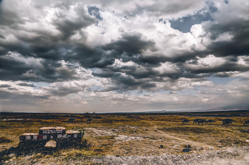 clouds, built structure, 5K, overcast, architecture, the past, photography, land, desert, nature, wildlife, dramatic, history, africa, travel destinations