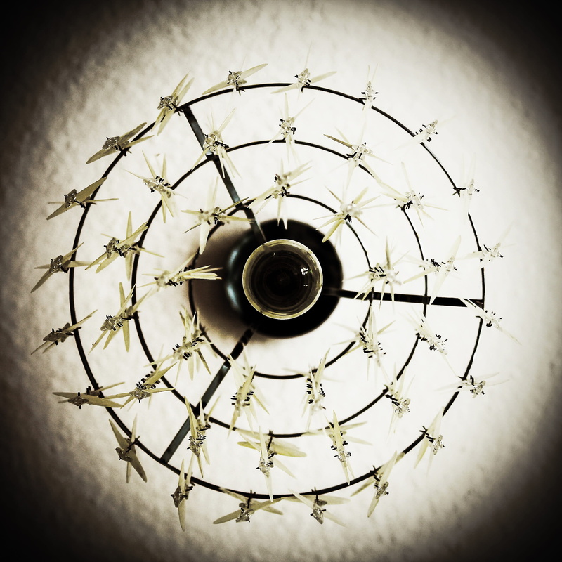 light, brightness, pear, light source, no people, hanging, glow wire, circle, vignette, art and craft, electric lamp, illuminated, immediately, glass bulb