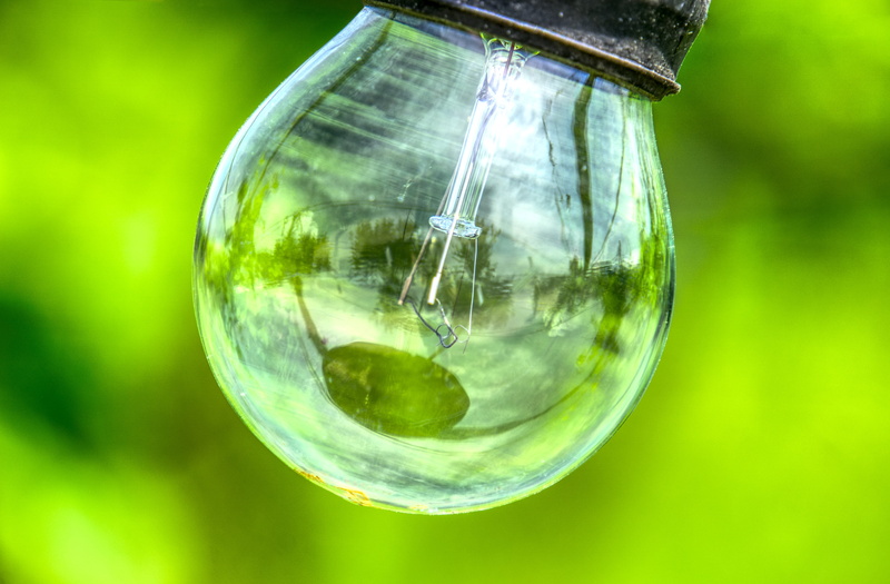 glass - material, day, nature, green, fragility, lichterkette, hdr, 5K, outdoors, glow wire, disappearing, pear, light, vulnerability, high dynamic range