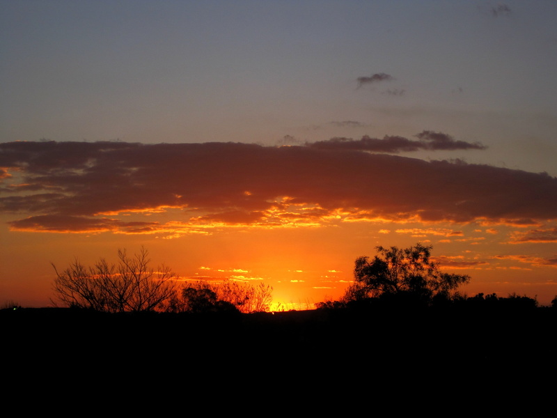 2K, horizon, beauty in nature, sunset, gilt edging, nature, sky, cloud - sky, no people, bright, idyllic, copy space, orange, land, tree, orange color