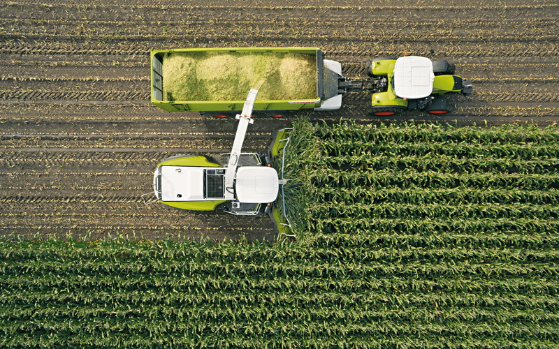 harvesting, agriculture, plant, 2K, Claas, field, land, green color, farmers, farm, day, outdoors, agricultural machinery, growth, farming, gardening