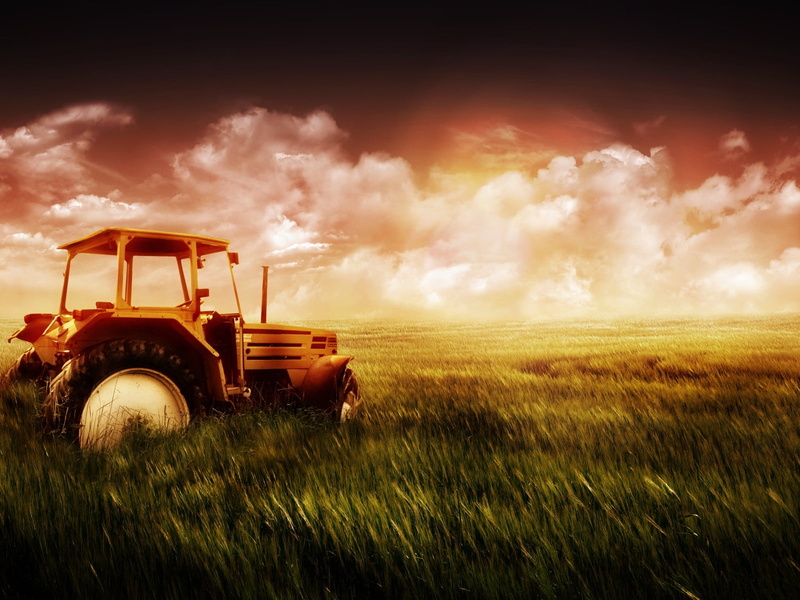 720P, tractor, land vehicle, land, cereal plant, digital art, agriculture, crop, field, cloud - sky, machinery, landscape, grass, transportation, nature