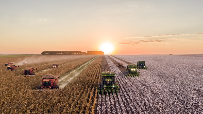 field, landscaped, nature, no People, non-Urban Scene, crop, sun, wildlife, industry, dusk, europe, growth, sunset, lot, farmland, rural Scene, sunrise
