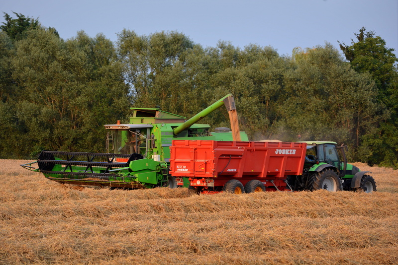 landscape, tractor, outdoors, Harvest, plant, mode of transportation, green, crop, pikdorser, agricultural vehicles, day, agricultural Machinery, agricultural equipment