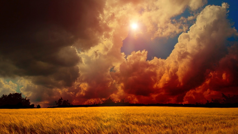 nature, rural scene, prairie, landscape, beauty in nature, lovely, cumulus, sky, sunset, agriculture, scenics - nature, grass, dark, storm, plain, 4K