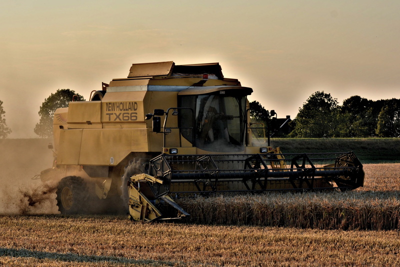 rural scene, new holland tx66, landscape, sky, rheiderland include a, 4K, harvest, straw harvest, agricultural machinery, straw, environment, wage operating