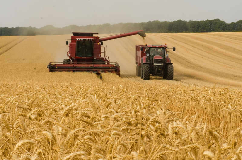 4K, outdoors, combine harvester, agricultural equipment, nature, fieldwork, harvesting, machine, cereal plant, harvest, transportation, crop, land vehicle