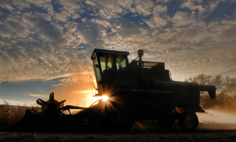 combine, fall, sunbeam, outdoors, scene, tractor, farm, sky, sunlight, silhouette, equipment, soybean harvest, field, adult, work, machine, blue, agriculture