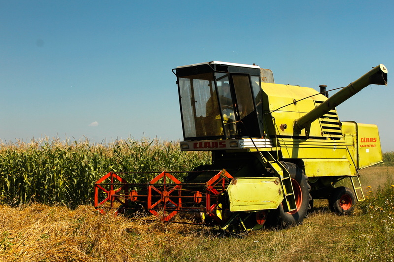 field, growth, land, farm, combine, environment, transportation, plant, corn, machinery, crop, combine harvester, yellow, 4K, sky, harvest, harvester