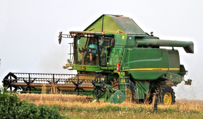 day, farm, arable, cornfield, nature, dust, field, grain, macro, bauer, machinery, cereals, combine Harvester, wheat, industry, plant, cereal Plant, summer