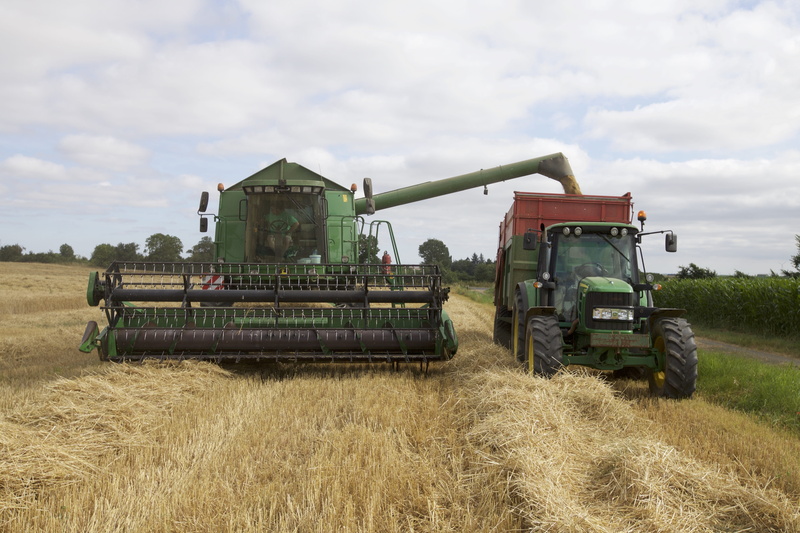 sky, field, crop, day, harvesting, agricultural machinery, outdoors, growth, 5K, land, combine harvester, transportation, environment, nature, rural scene