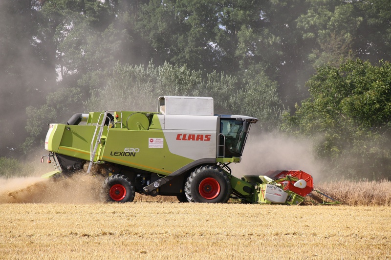 5K, land, harvest, wheat, mode of transportation, threshing, agricultural equipment, wheat field, transportation, claas, food, agricultural machinery