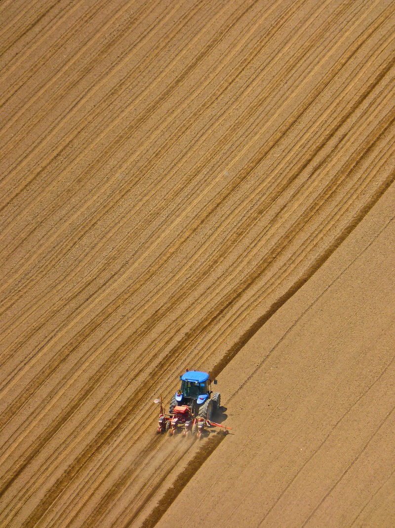 ploughing, rural, working, harrow, agricultural machinery, eye, nature, tractor, agricultural, bird, land, combine harvester, s, environment, high angle view