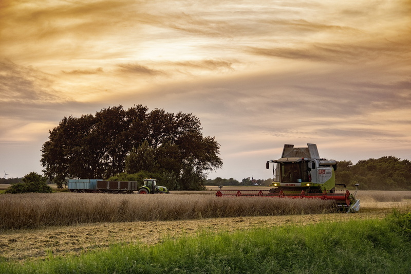 rural scene, land, agricultural machinery, harvesting, combine harvester, cereals, summer, farm, growth, mode of transportation, agricultural equipment