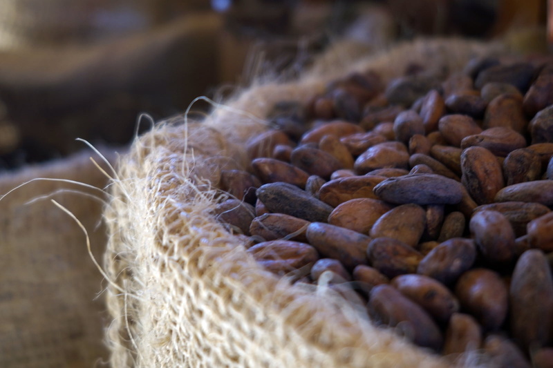 food, Cacao, chocolate, country, mexico, 720P, nature, semillas, flok, seeds, macro, vintage, basket, bean, folk, brown, texture, coco, textura