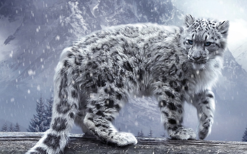 desktop, Animal, 1080P, backgrounds, 1920x1200, Cool