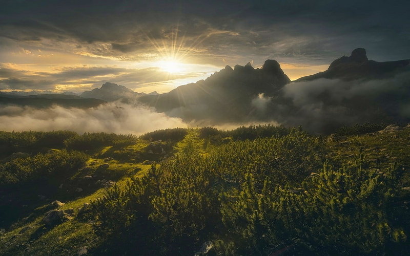 tree, lens flare, tranquility, bright, Italy, clouds, sunbeam, scenics - nature, plant, nimbus, growth, sun rays, no people, non-urban scene, tranquil scene