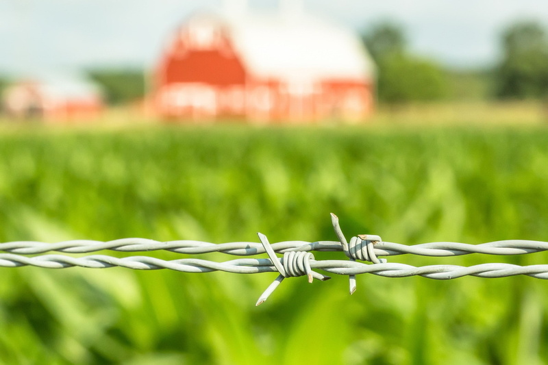fence, close-up, wire, 1080P, security, barbed wire, plant, nature, focus on foreground, safety, field, no people, selective focus, boundary, macro, day