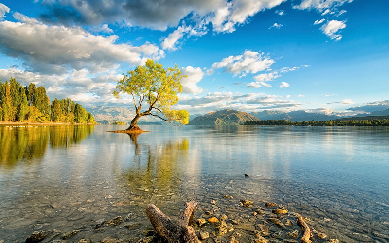 lake, sky, scenics - nature, nature, non-urban scene, forest, outdoors, autumn, mountain, tranquility, beauty in nature, tree, no people, wanaka, reflection