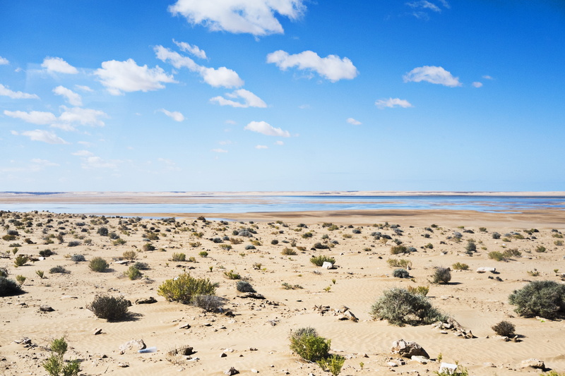 beauty in nature, marram grass, tranquility, day, cloud - sky, land, lake, beach, ocean, horizon over water, 4K, tranquil scene, no people, scenics - nature
