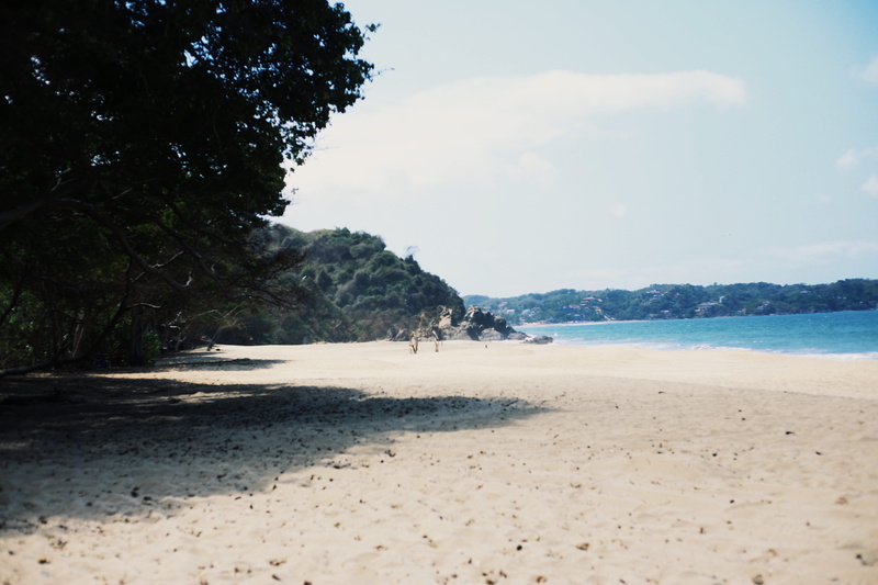 san francisco, 5K, ocean, plant, tranquility, sand, mexico, scenics - nature, beach, outdoors, sky, nature, san francisco nayarit, beauty in nature, lagune