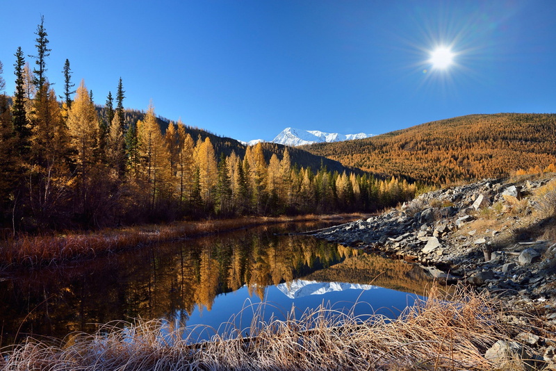good morning, morning, Autumn, 1080P, Altai, lake, beside, forest