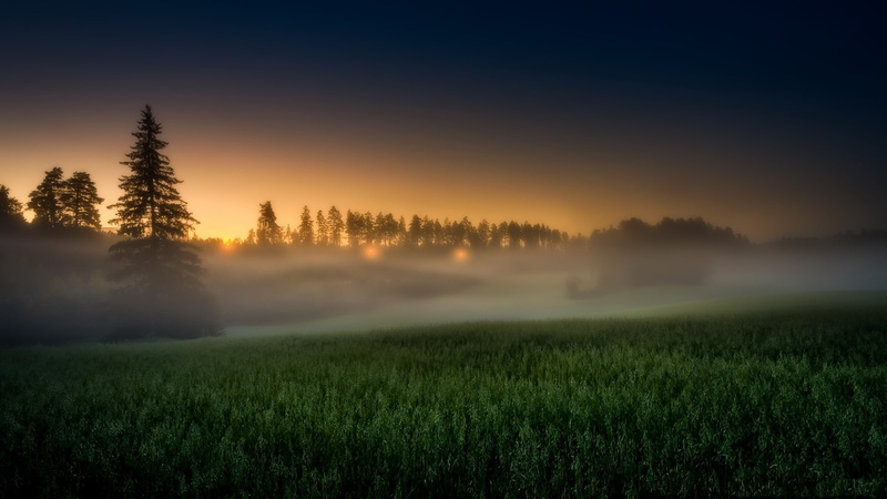 nature, 1080P, sunlight, morning