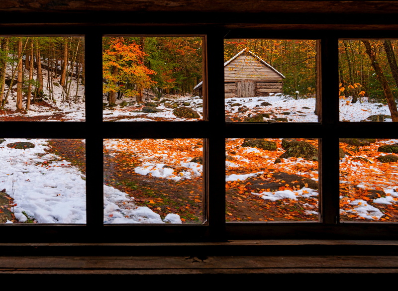 backgrounds, scenics, tree, looking Through Window, orange color, sunlight, architecture, window, pattern, snow, nature, built structure, indoors, wood - Material