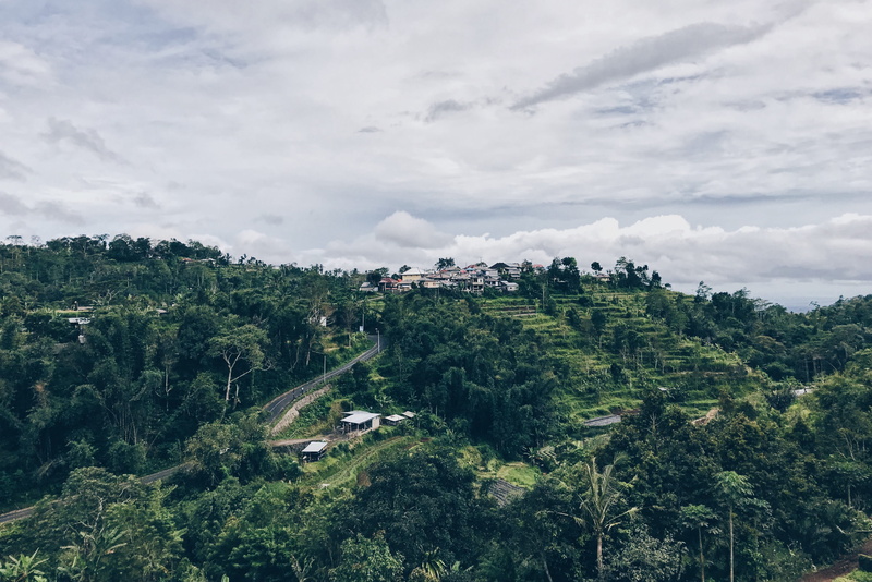 cloud - sky, growth, no people, day, green, aerial view, beauty in nature, sky, forest, slope, palm, tranquil scene, green color, plant, scenics - nature