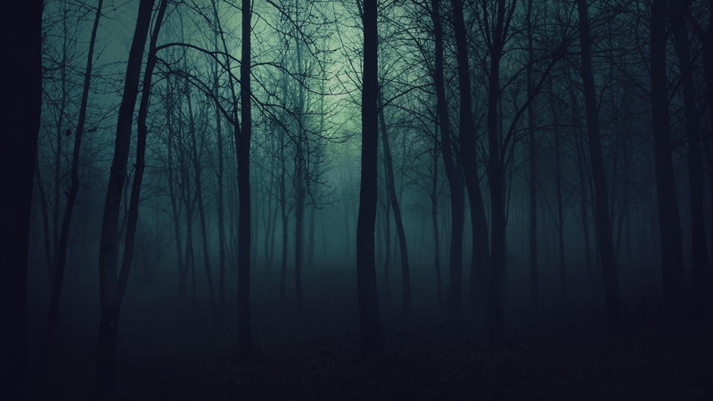 spooky, hazy, trees, dark, trunk, mystery, no people, wood, bature, tree trunk, forest, nature, outdoors, gloomy, scenics - nature, woodland, bare tree