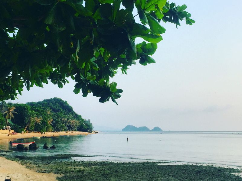 plant part, paradise, vacation, 2K, thailand, sky, mountain, nature, tranquility, swim, land, leaf, seashore, outdoors, beach, chill, tambon ko pha-ngan