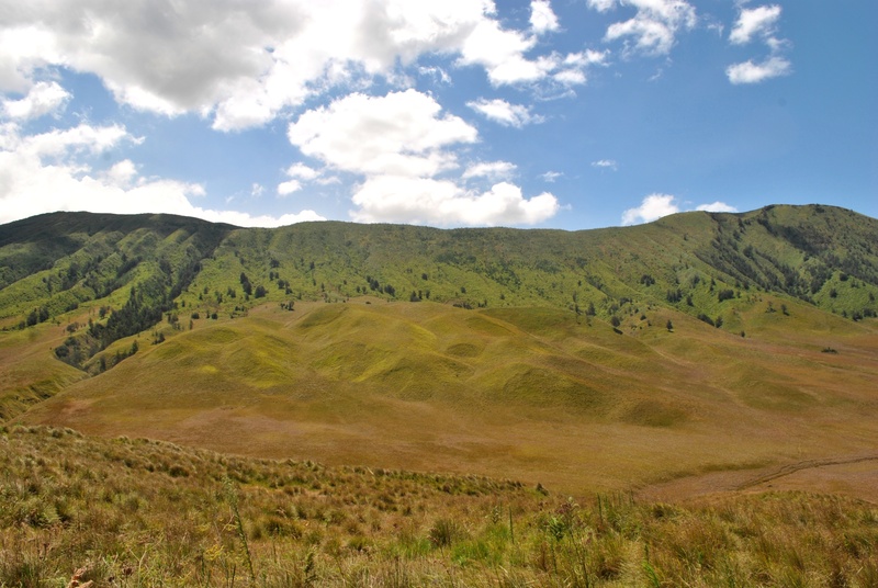 east java, mountain, java, destinations, plant, tranquility, scenics - nature, outdoors, day, grass, beauty in nature, cloud - sky, mountains, remote, non-urban scene