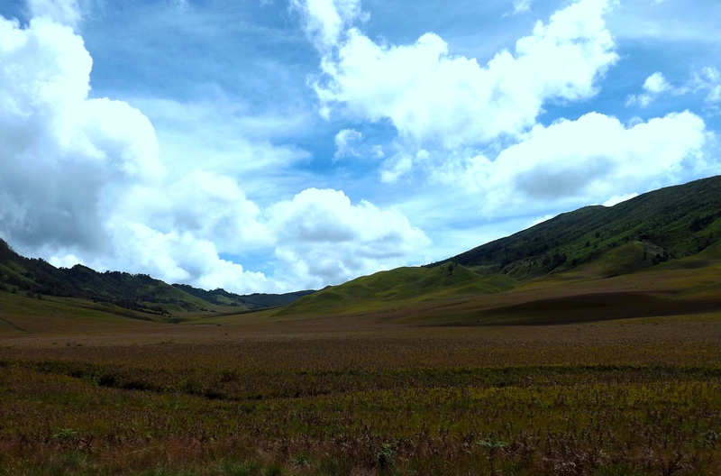 jawa timur, 2K, beauty in nature, rural scene, indonesia, green, non-urban scene, tranquility, landscape, gunung, mountain, field, east java, savana, bromo