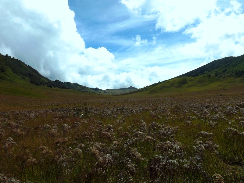 jawa timur, scenics - nature, rolling landscape, outdoors, mountain, environment, sky, day, field, gunung, 2K, landscape, valley, cloud - sky, green color