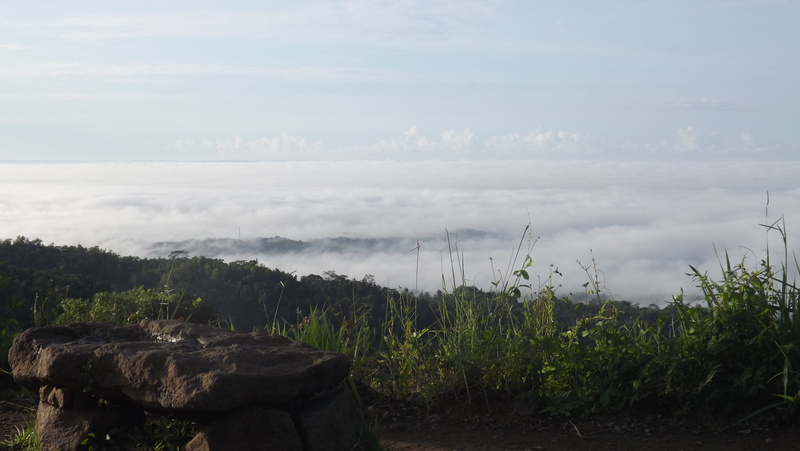 no people, mist, sunny, peak, tree, high, growth, meadow, idyllic, morning, beauty in nature, land, plant, rock, scenics - nature, field, cloud, cloud - sky